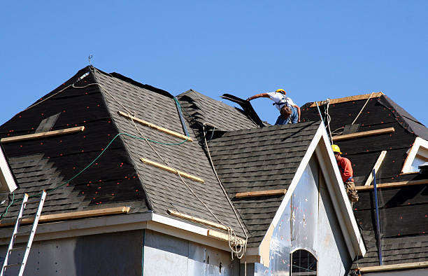 Best Roof Gutter Cleaning  in Homer, LA
