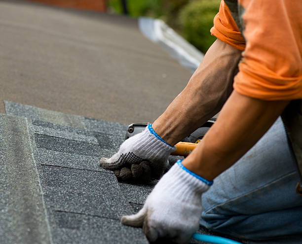 Best New Roof Installation  in Homer, LA